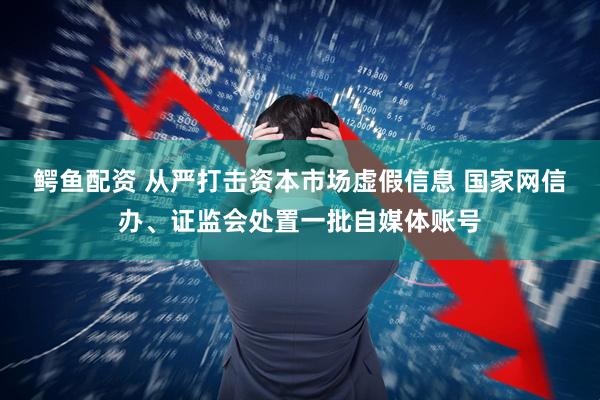鳄鱼配资 从严打击资本市场虚假信息 国家网信办、证监会处置一批自媒体账号