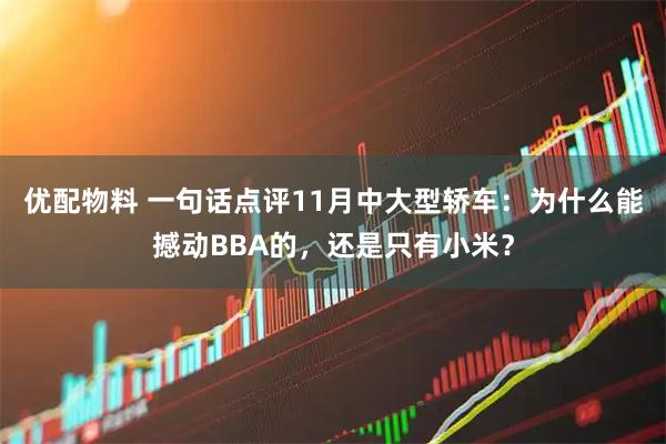 优配物料 一句话点评11月中大型轿车：为什么能撼动BBA的，还是只有小米？